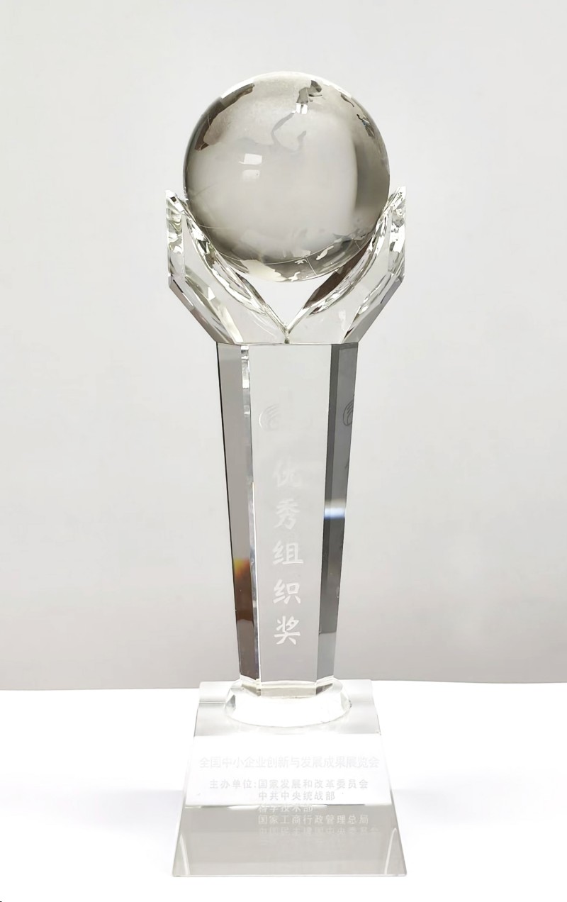 Excellent Organization Award