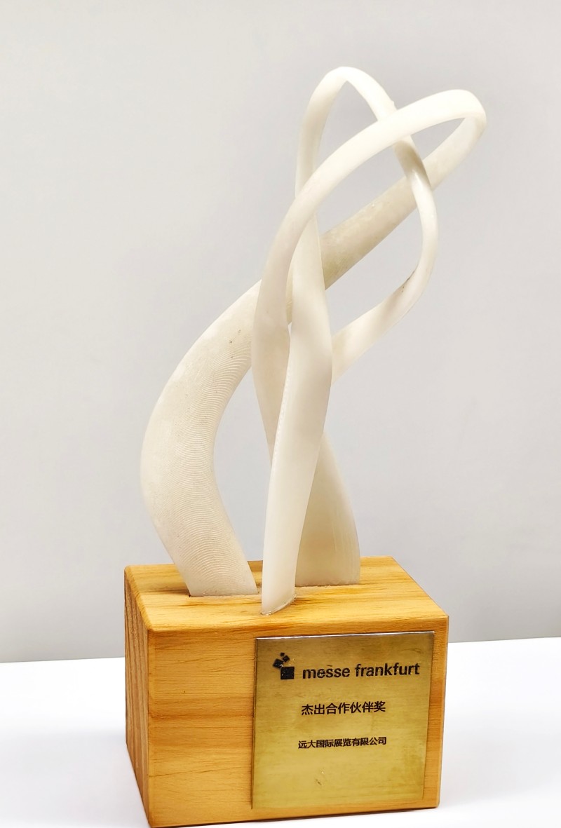 Frankfurt Outstanding Partner Award